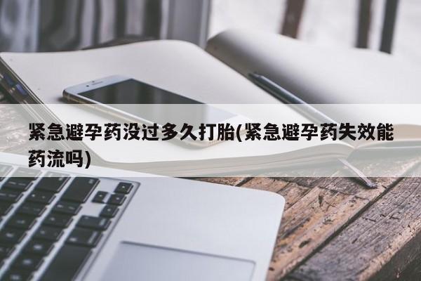 米非米索动态 第13页