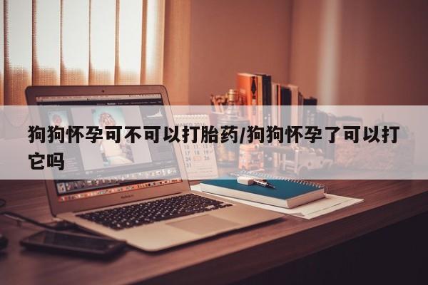 米非米索狗狗怀孕可不可以打胎药/狗狗怀孕了可以打它吗